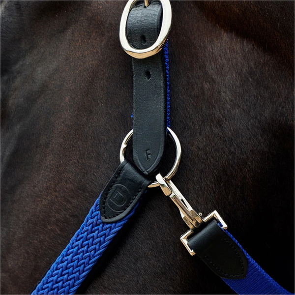 2026 Dublin Braided Leather Headcollar 1031532 - Cobalt